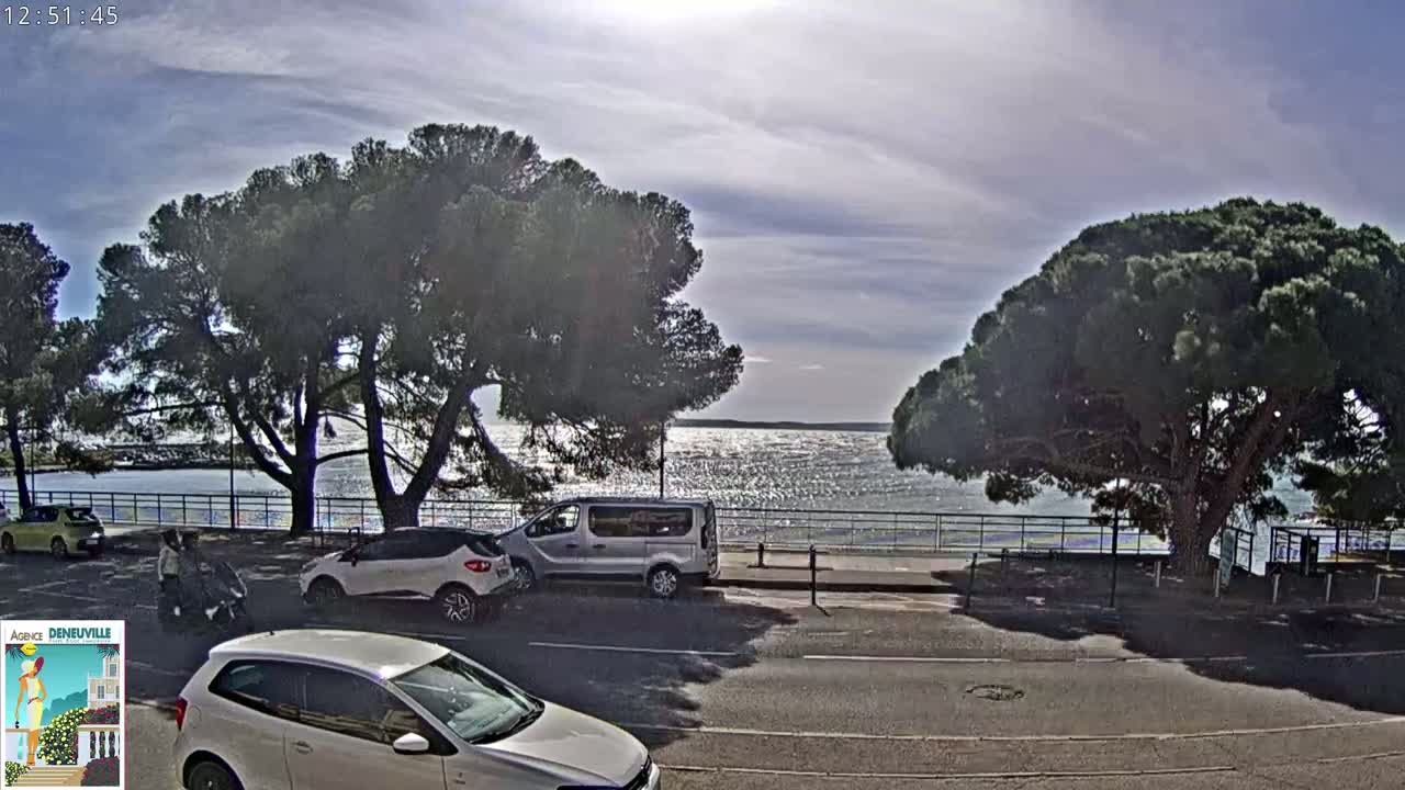 A sunny day shows several cars parked along a roadway next to a calm body of water, with large pine trees shading the scene.