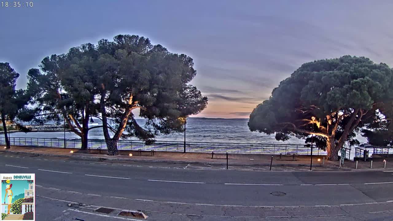A twilight view of a coastal road, lined with large pine trees, overlooks a calm sea under a dusky sky.