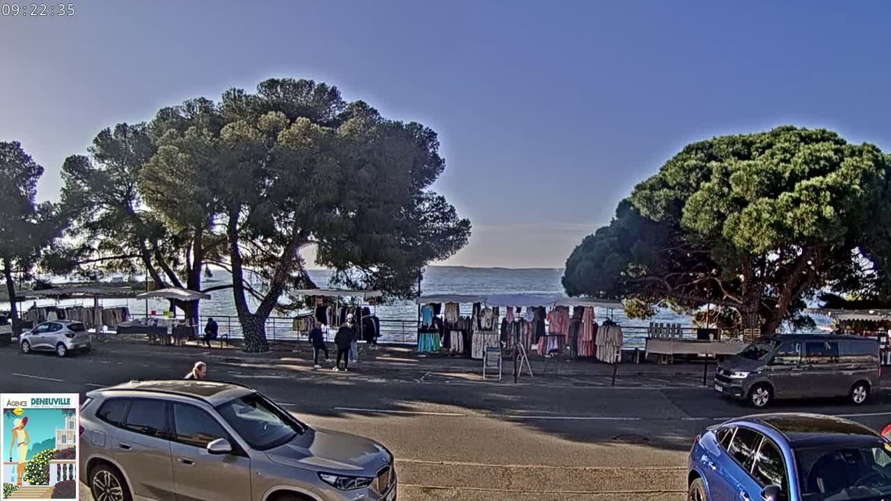 A clothing market is set up outdoors near a calm body of water under a clear, sunny sky, with large pine trees providing shade and several cars parked nearby.