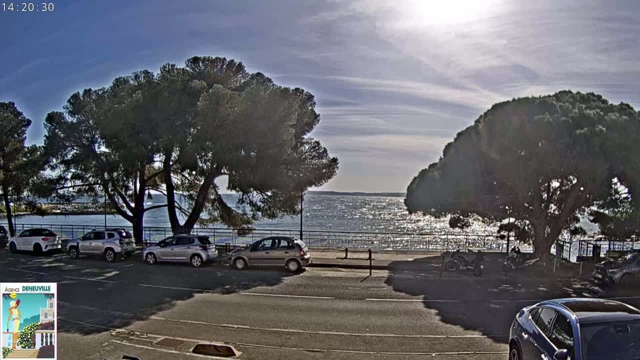 Several cars are parked along a road next to a body of water under a mostly sunny sky, with large pine trees providing shade.