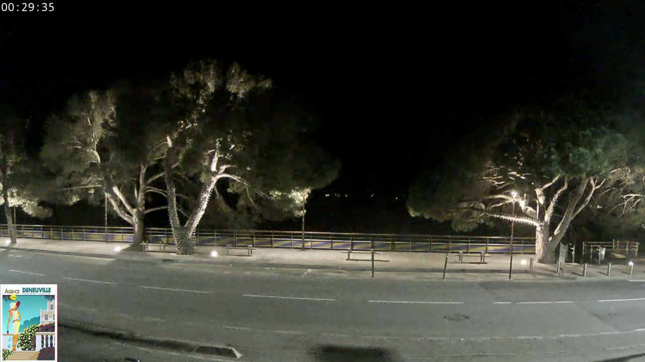A nighttime view of a paved road lined with illuminated trees and a low fence.