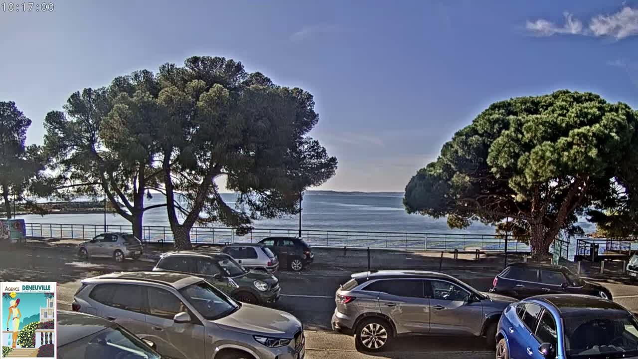 A sunny day shows a parking lot with several cars parked next to a calm body of water, with large pine trees on either side, partially obscuring the view.