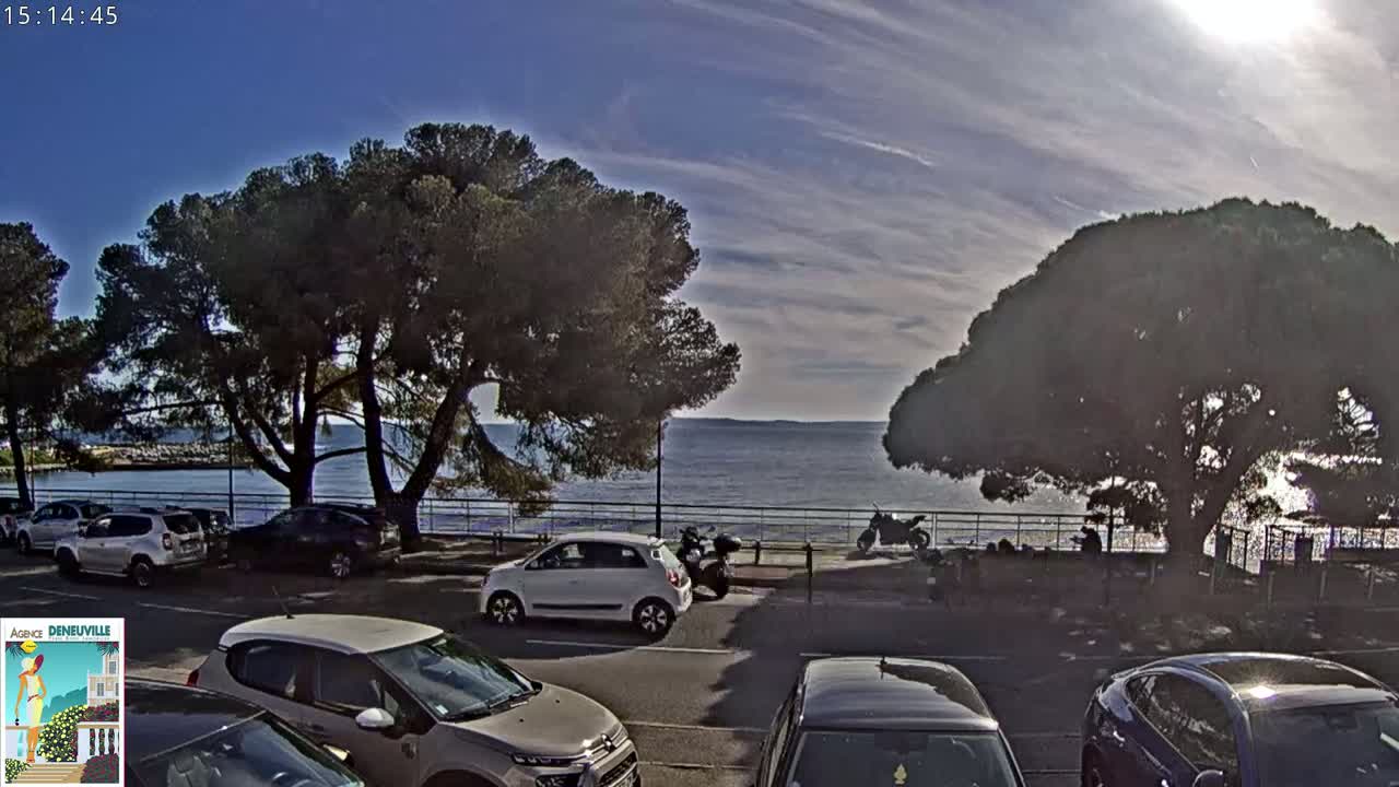 A sunny day shows a calm sea, parked cars along a roadside lined with trees, and motorcycles parked near the water's edge.
