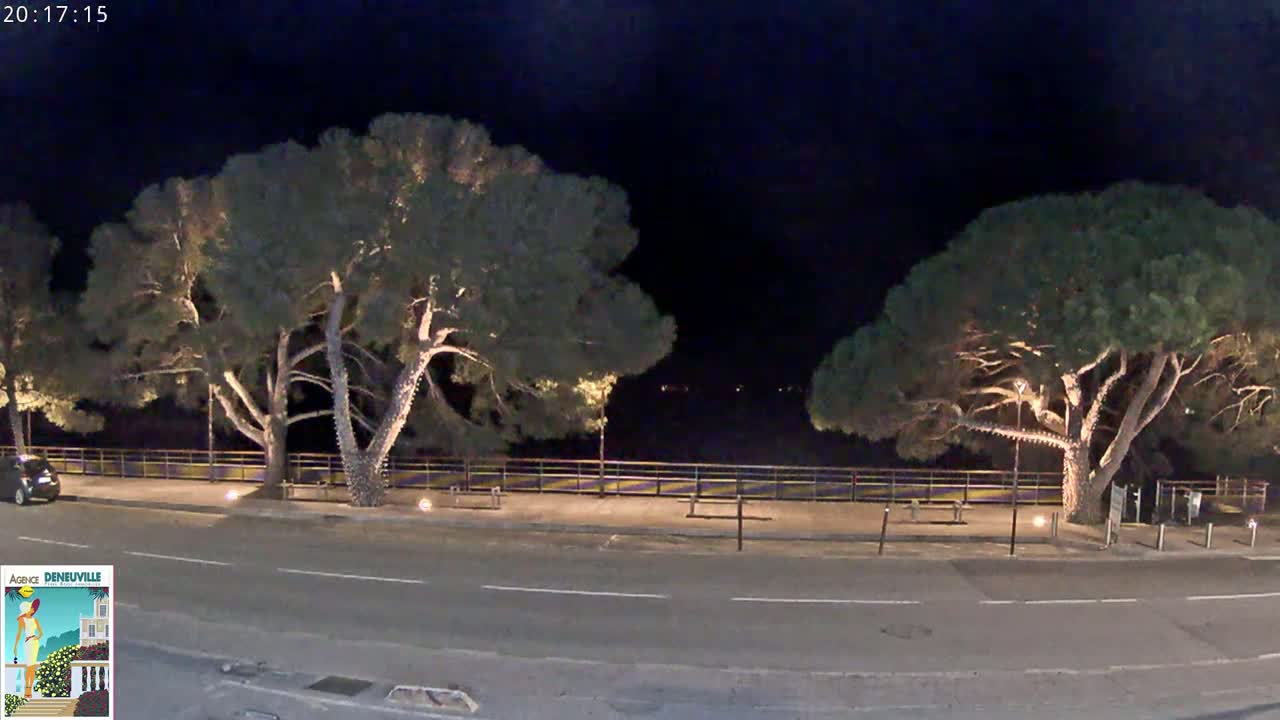 At night, two large, illuminated trees stand on either side of a paved road beside a low fence, with a car parked nearby under a dark sky.