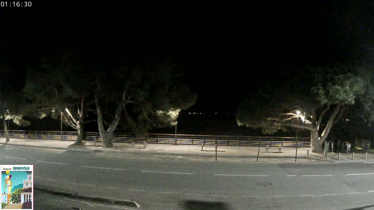 A nighttime street scene shows a dark road lined with trees and a low fence, under a clear, dark sky.