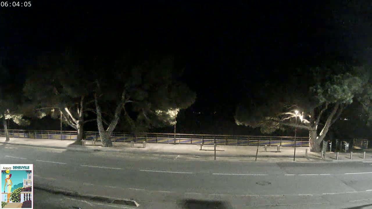 A nighttime view of a paved road bordered by trees and a low fence, under a dark sky.