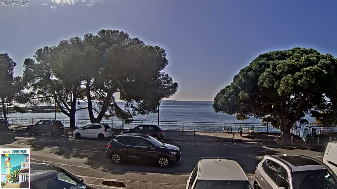 Several cars are parked along a roadway beside a calm body of water under a clear, sunny sky, with large, full pine trees shading the roadside.