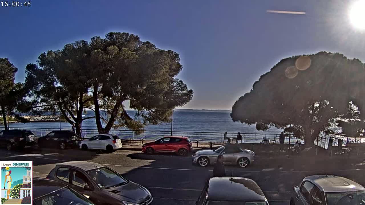 A sunny, clear day at the seaside shows several parked cars along a road lined with pine trees, overlooking a calm body of water.