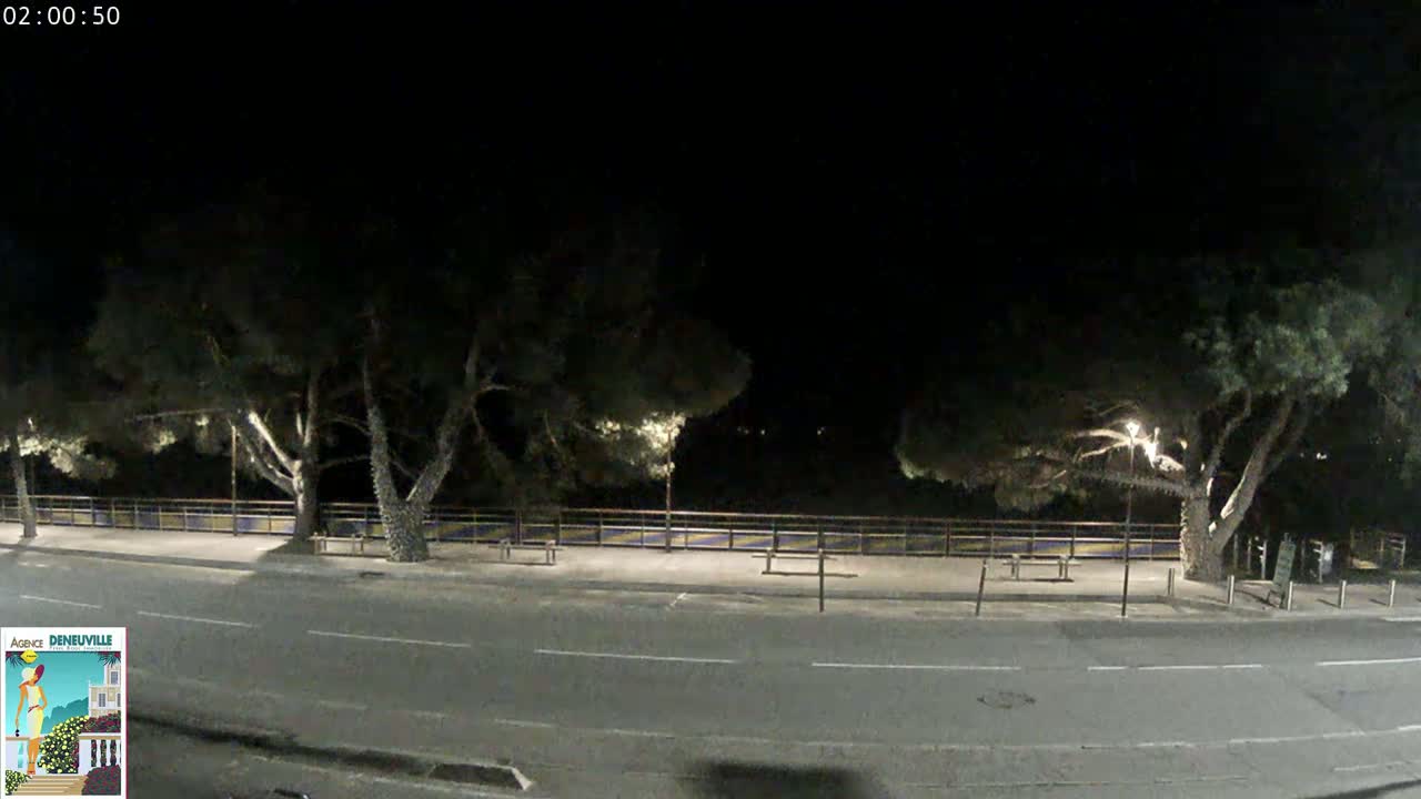 A nighttime view of a road lined with trees and a low fence, under a clear, dark sky.