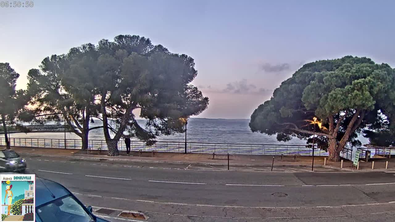A calm sea is visible beyond a road and a low wall lined with large pine trees under a twilight sky.