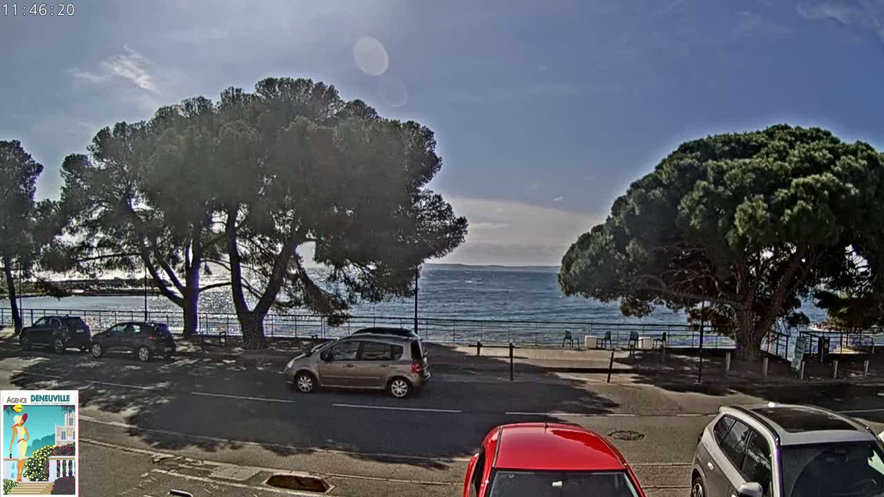 A partly sunny day shows a seaside road with parked cars and large pine trees next to a calm sea.