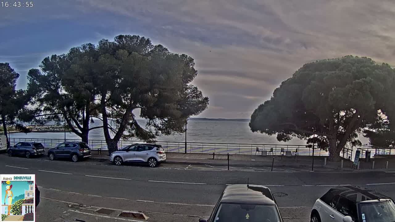 Several cars are parked along a roadside near a calm body of water under a cloudy sky, with large, dark green trees shading the area.