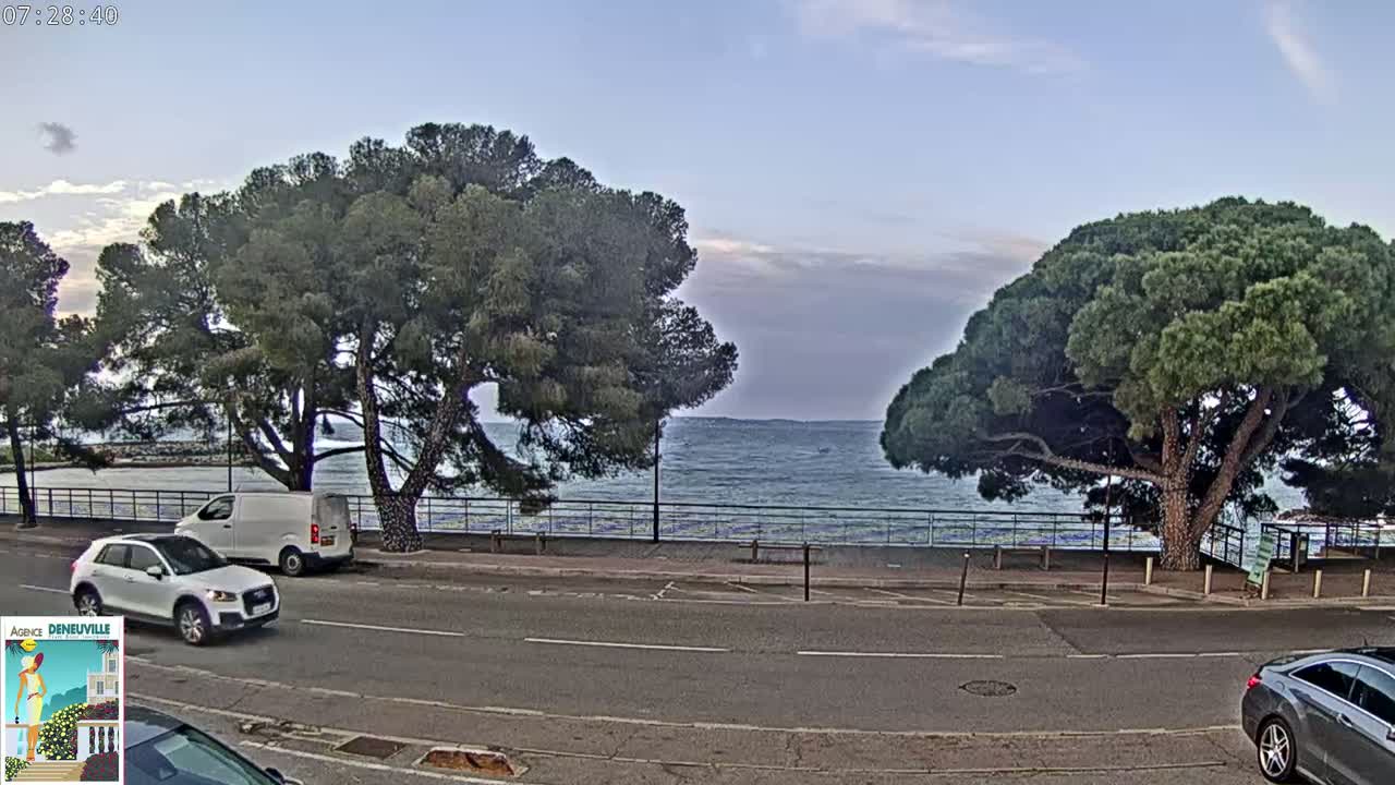A calm sea is visible beyond a roadside with parked cars and large pine trees under a partly cloudy sky.