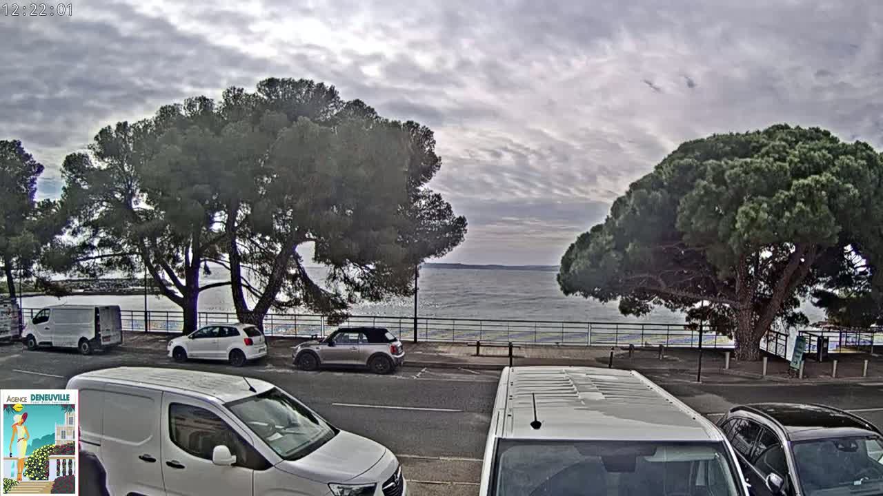 A parking lot with several cars, two large pine trees, and a view of a calm body of water under a cloudy sky.