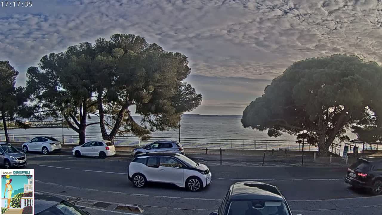 Several cars are parked along a road lined with trees overlooking a calm body of water under a cloudy sky.
