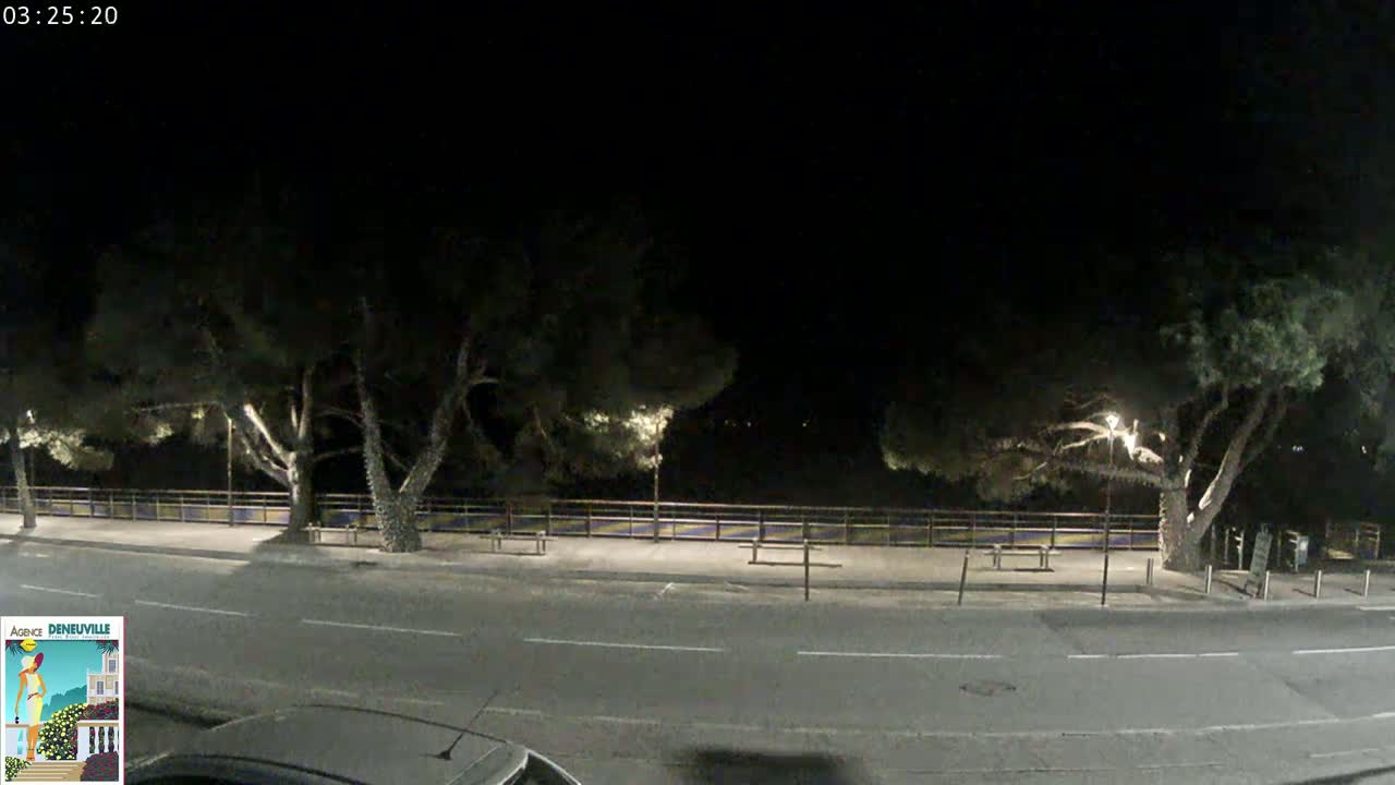 A nighttime street scene shows a roadway bordered by a sidewalk, trees, and a low fence, under a dark, clear sky.