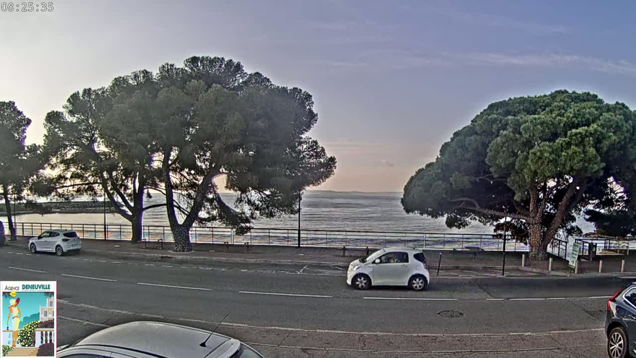 A calm sea is visible beyond a roadway lined with trees, where several cars are parked.