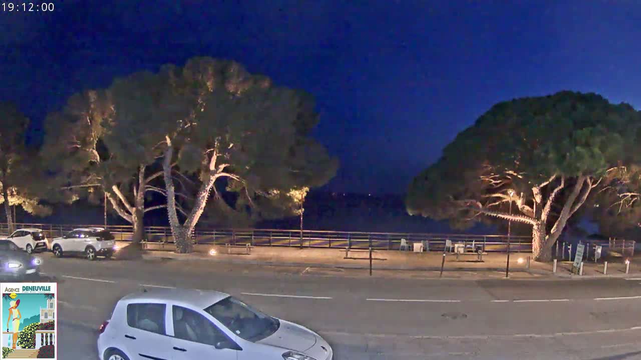 At night, under a dark blue sky, several cars are parked near large, illuminated trees next to a body of water.