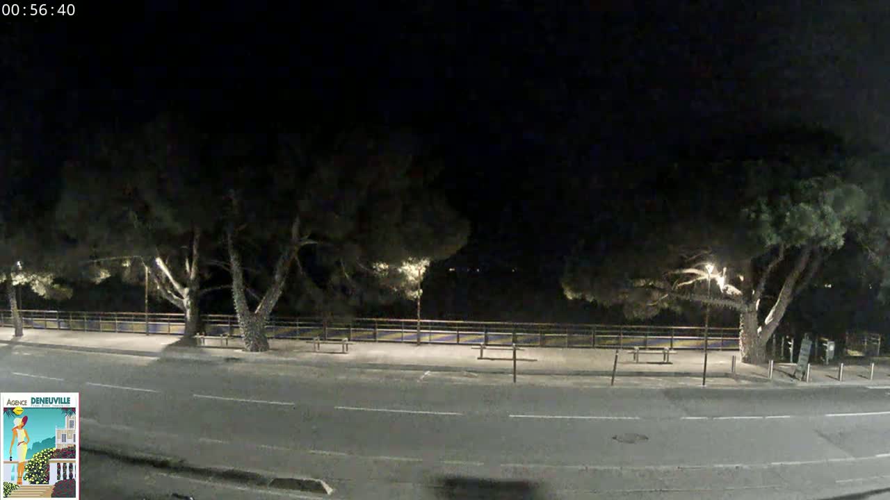 A nighttime view of a road bordered by trees and a low fence, under a dark sky.