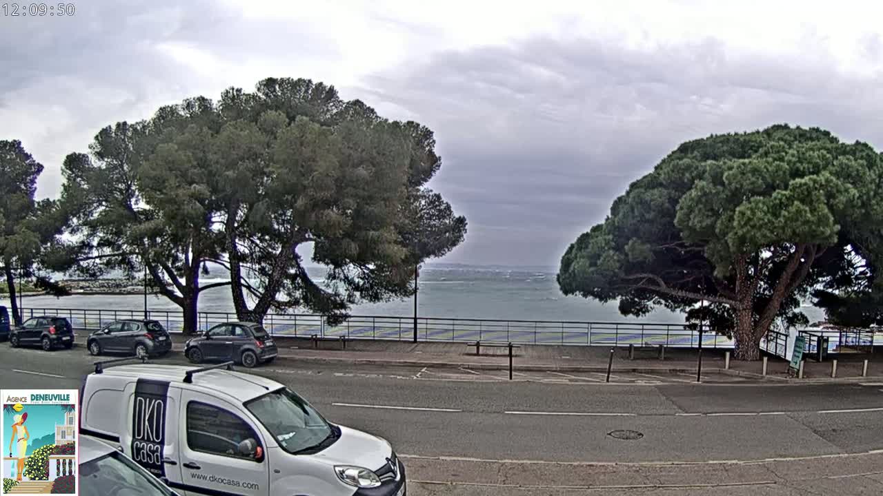 A parking lot with several cars is next to a road, overlooking a calm body of water under an overcast sky, with large pine trees lining the roadside.