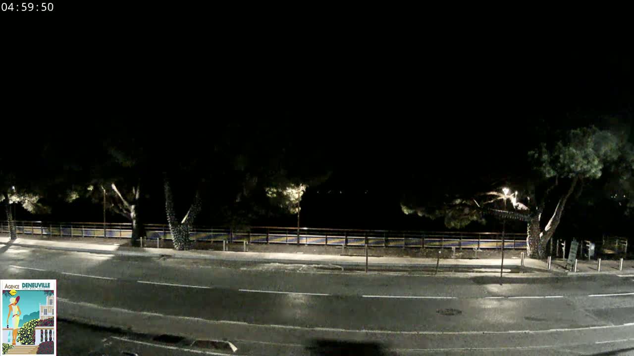 A dark, empty road at night is lined with trees and a low fence, under a clear, dark sky.