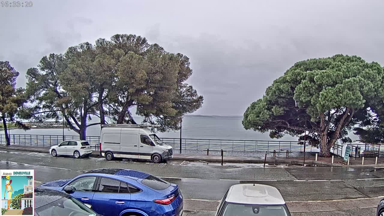 Several cars are parked along a road next to a body of water under an overcast sky, with large pine trees lining the roadside.