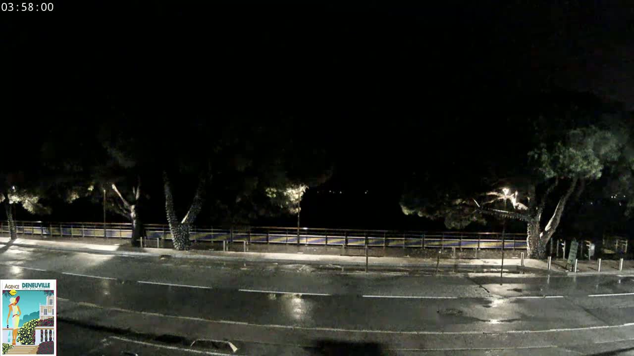 A wet, dark nighttime street scene shows a road lined with trees and a low fence.