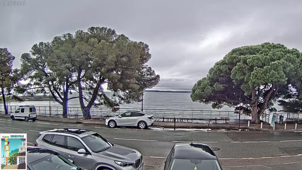 A gray overcast sky hangs over a calm body of water, where several cars are parked along a roadside lined with large pine trees.