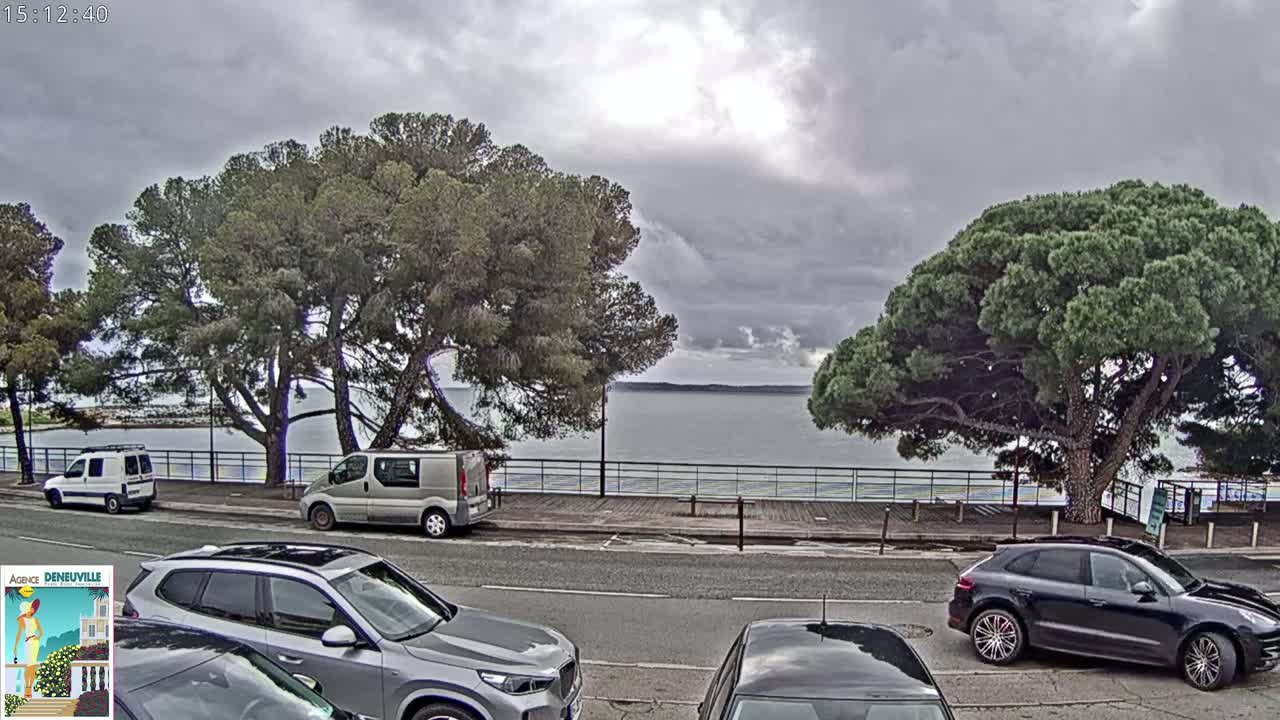 Overcast skies loom over a calm body of water, visible beyond a roadside lined with parked cars and large pine trees.