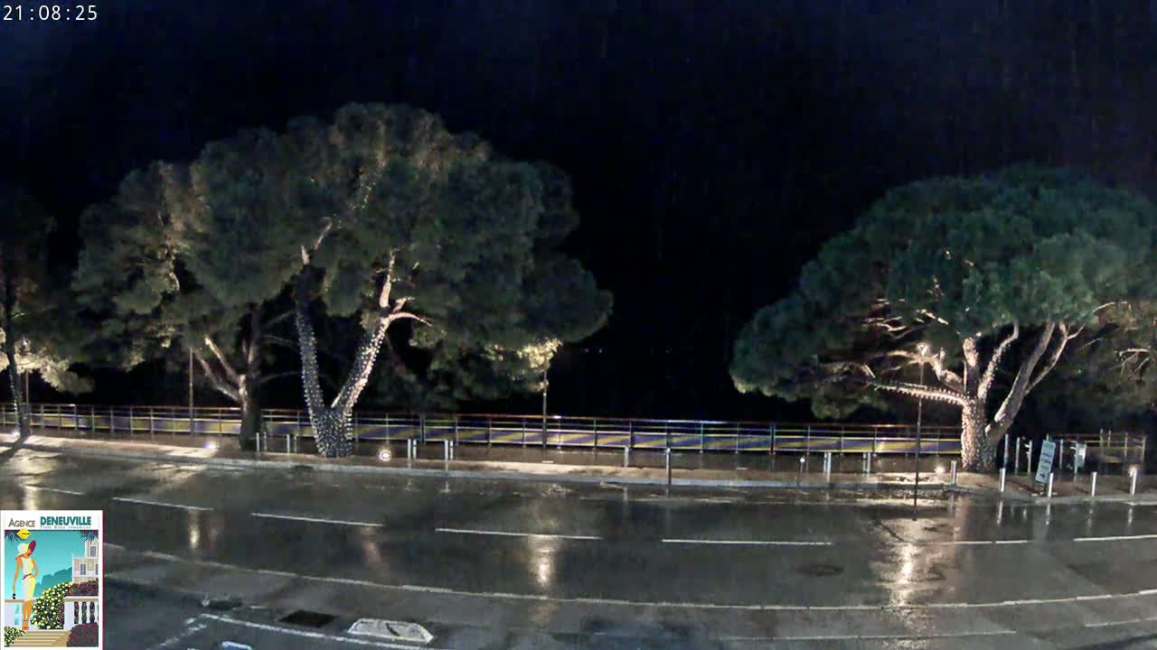 A wet, nighttime street scene shows two large, illuminated trees flanking a roadway with a railing behind them.