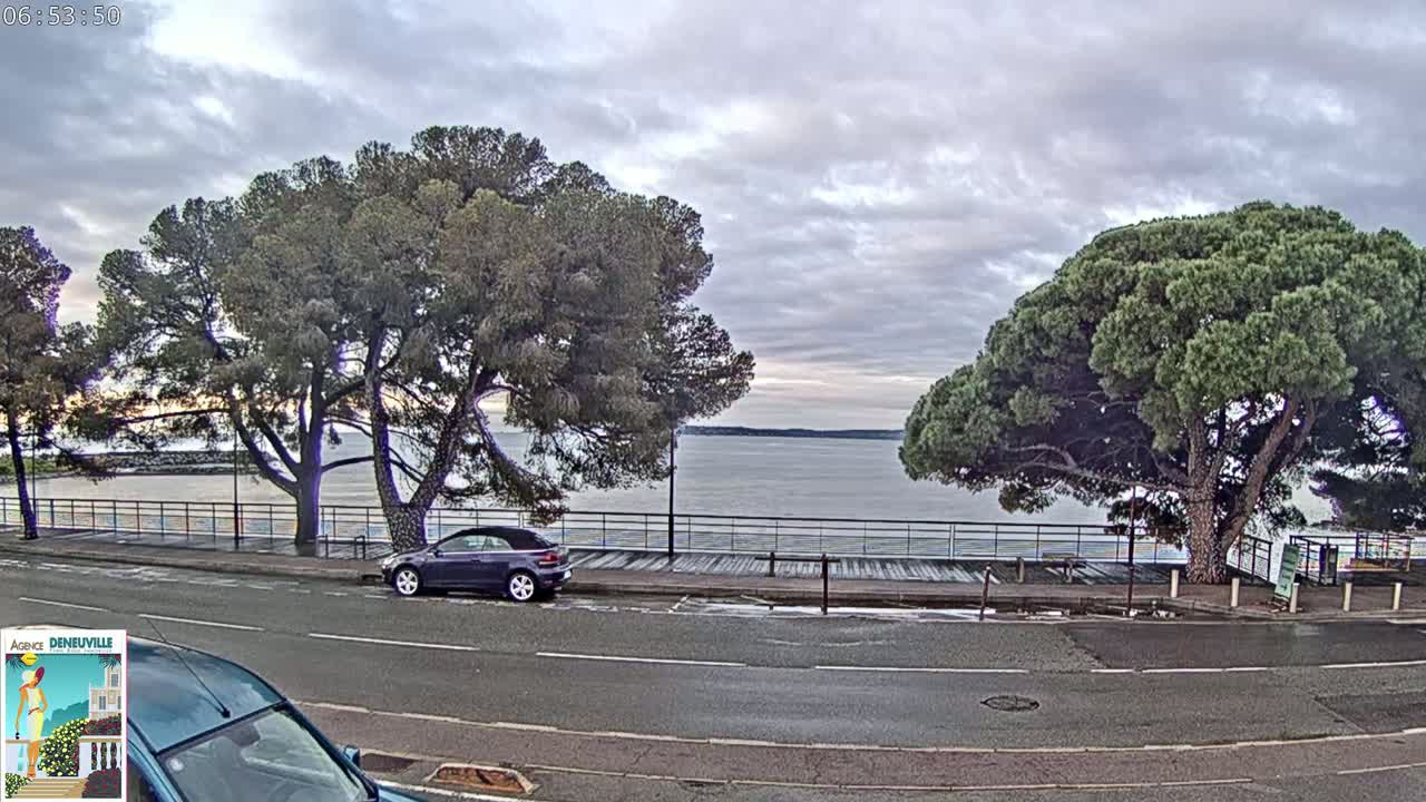 A dark-colored convertible car is parked on a road next to a calm body of water under a cloudy sky, with several large pine trees lining the waterfront.
