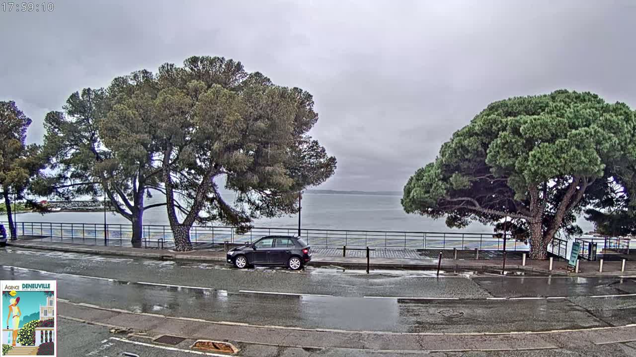 A dark-colored car is parked on a rain-slicked road next to two large pine trees overlooking a calm body of water under an overcast sky.