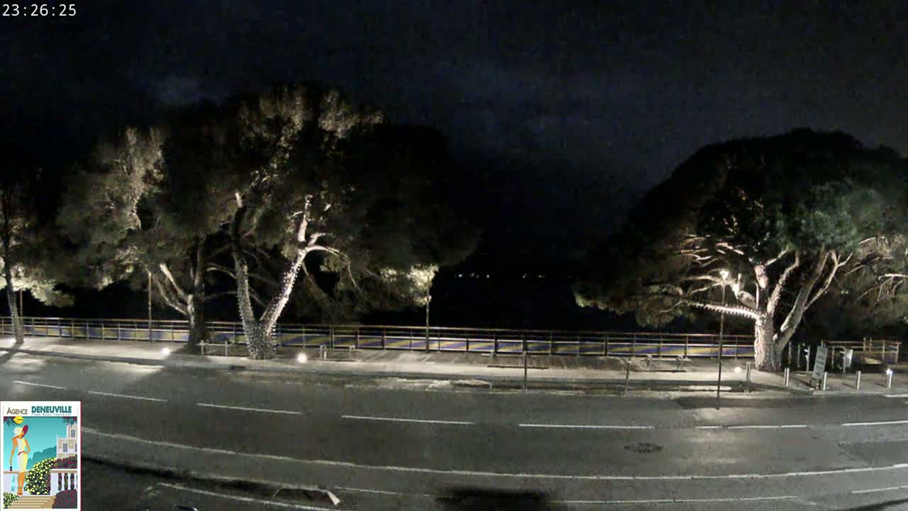 A nighttime view of a roadway bordered by trees with lights illuminating them, next to a railing overlooking a dark body of water under a mostly clear, dark sky.