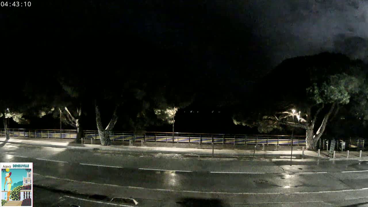 A dark, wet road at night lined with trees and a low fence.