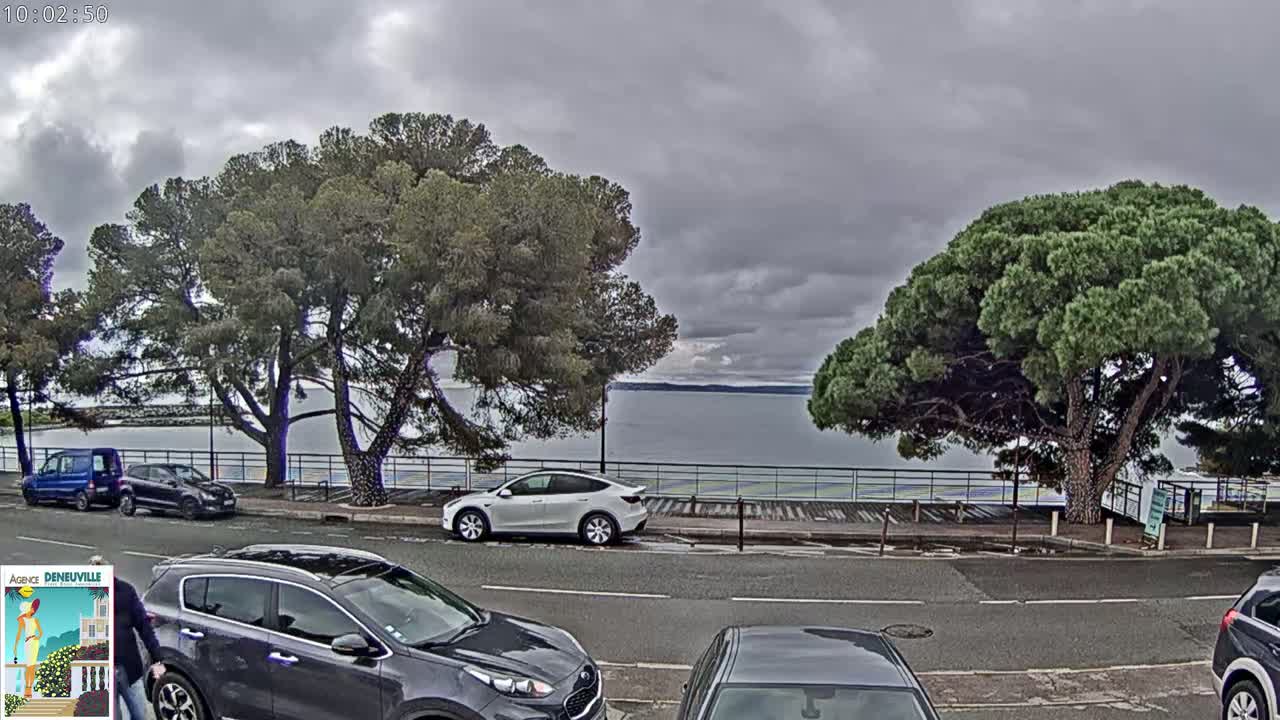 A body of water is visible beyond a paved road lined with parked cars and large, full, green trees under a cloudy sky.