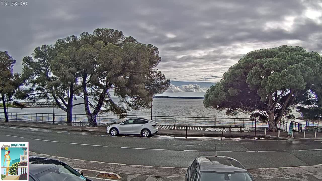 A cloudy day shows a body of water behind a paved road lined with trees, a white car parked, and another car partially visible.
