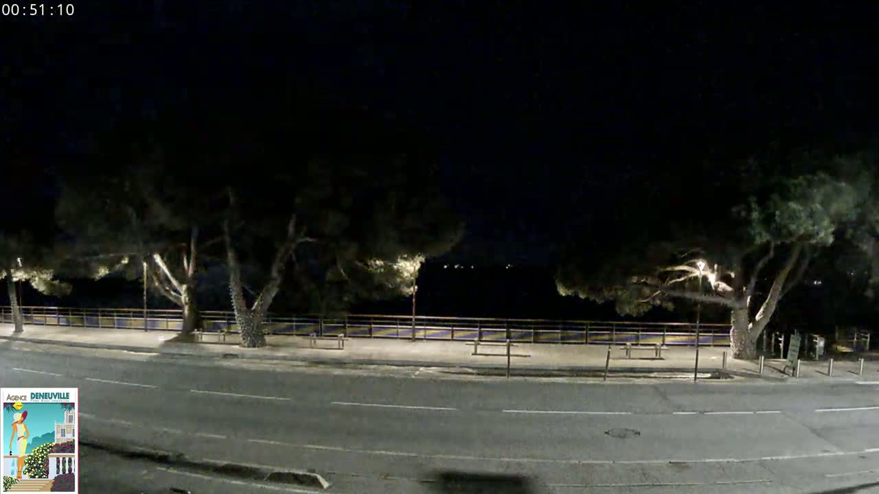 A nighttime, outdoor view of a road lined with trees and a low wall next to a dark body of water.