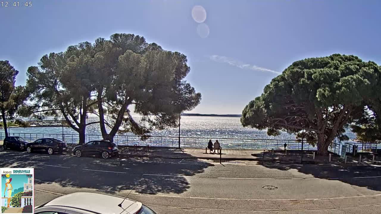Under a clear blue sky, two people sit on a bench by a calm, shimmering body of water, bordered by a road, parked cars, and large, shady pine trees.