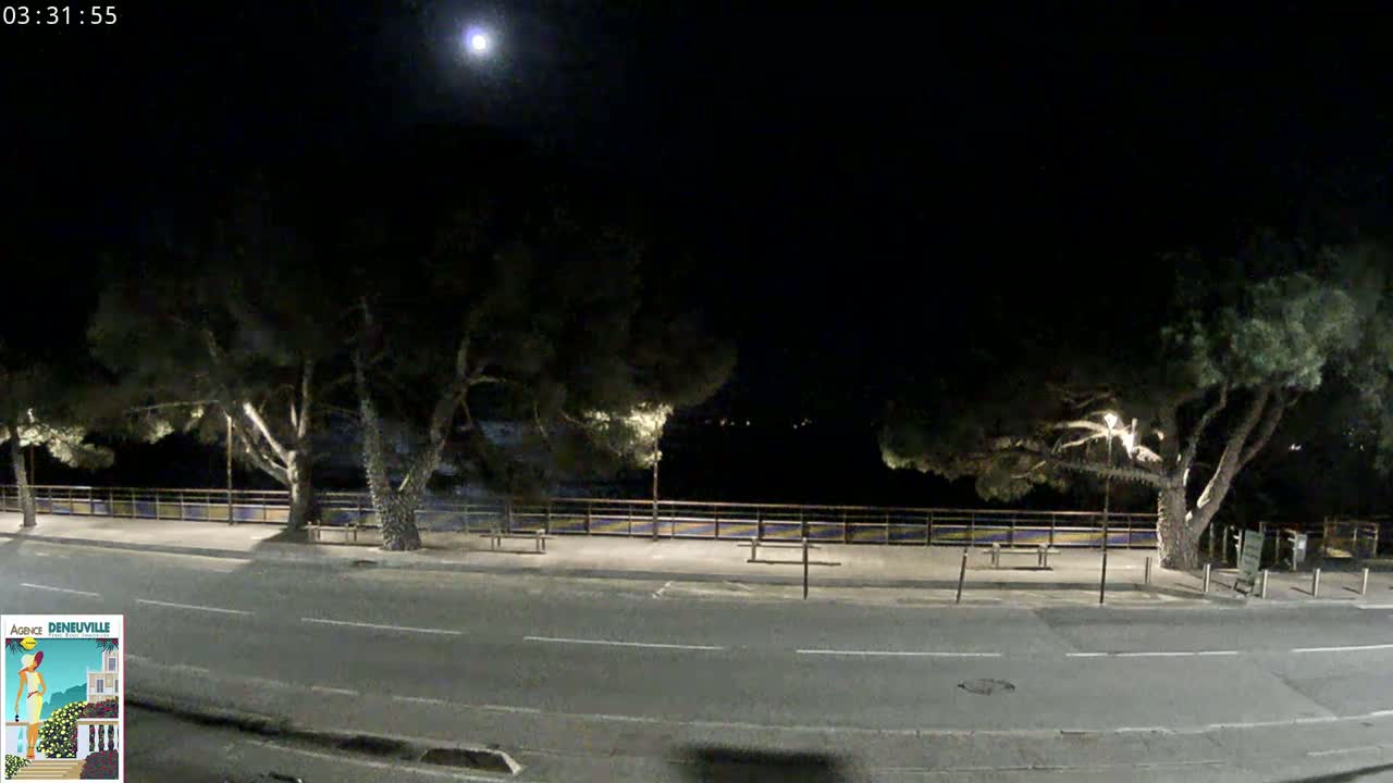 A moonlit nighttime scene shows a paved road next to a waterfront walkway lined with trees and a low railing.