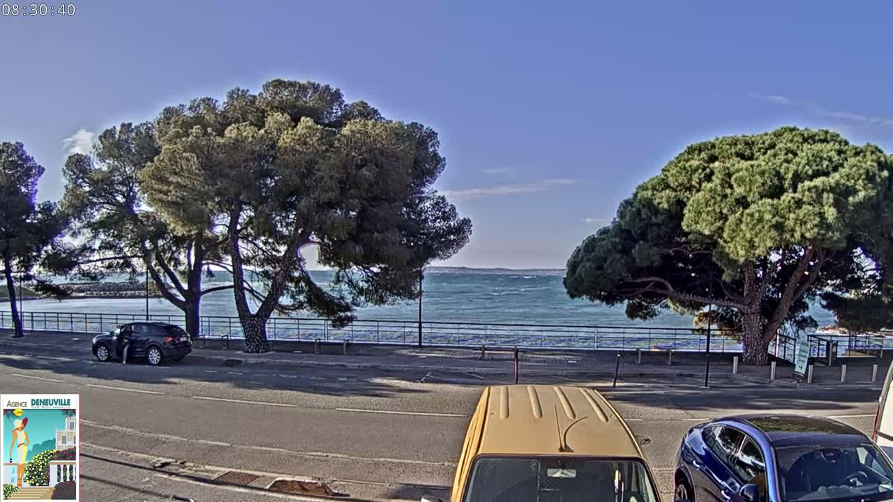 A partly sunny day shows a roadway next to a calm sea with a few waves, lined with large pine trees and parked cars.