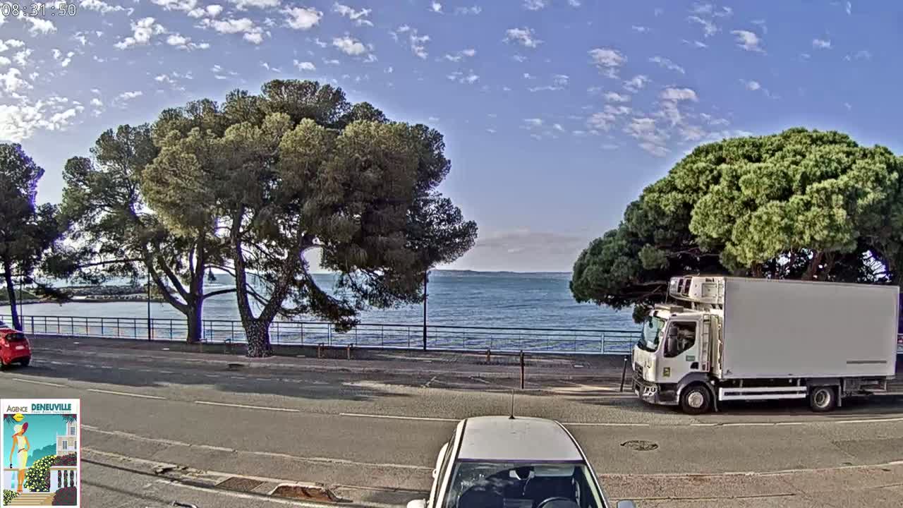 A seaside road with parked cars, large pine trees, and a refrigerated truck under a partly cloudy blue sky.
