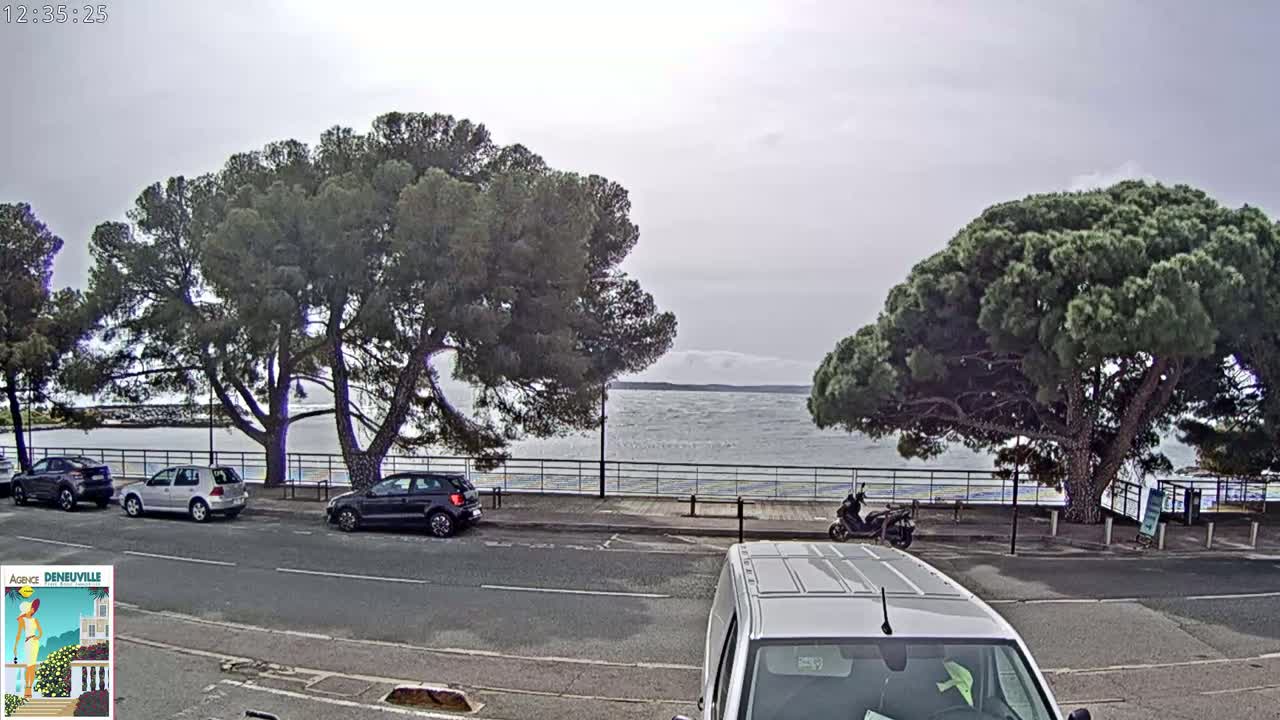 Several cars are parked along a road next to a body of water under an overcast sky, with large pine trees shading the roadside.