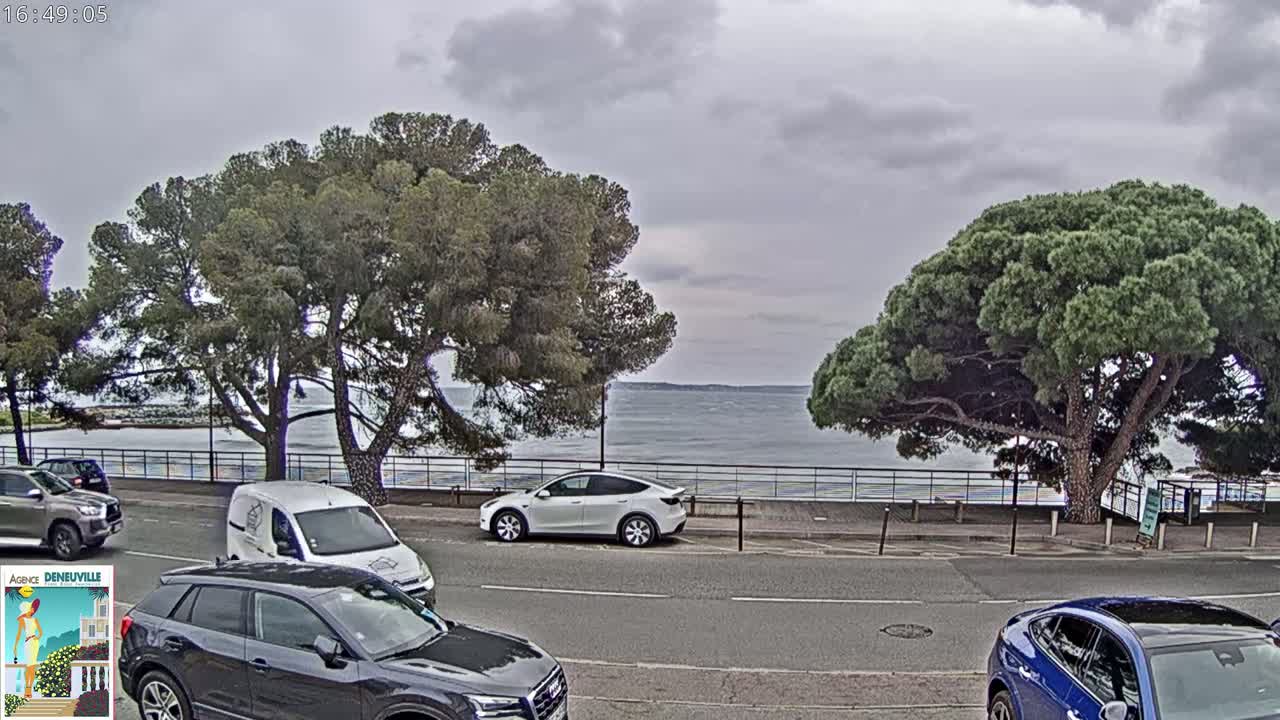 A partly cloudy day shows a calm body of water behind a line of parked cars and trees.