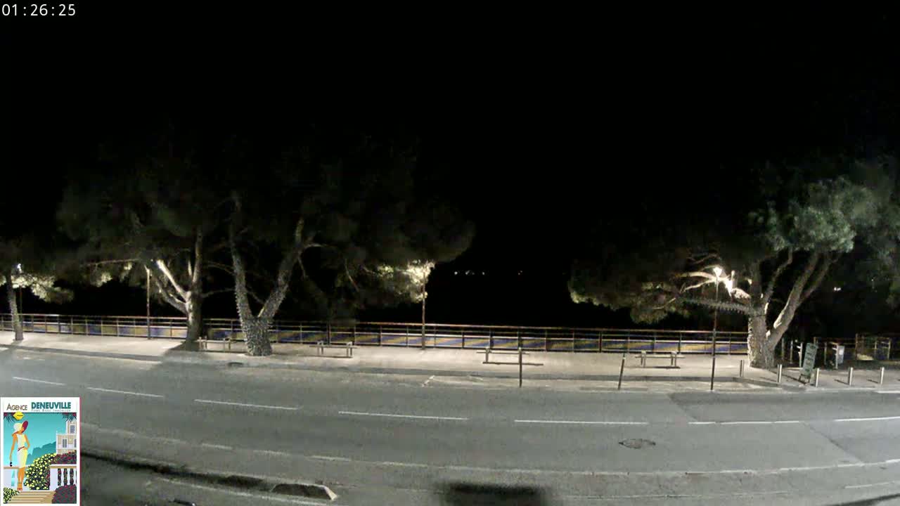 A nighttime view of a dark road bordered by trees and a low wall, under a clear, dark sky.