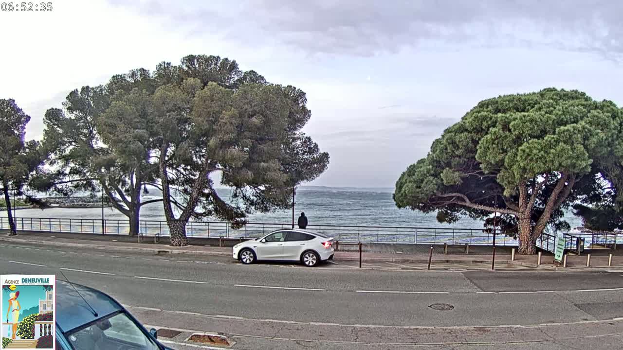 A white Tesla is parked near a seaside road lined with trees under an overcast sky, with a person standing in the background overlooking a choppy sea.