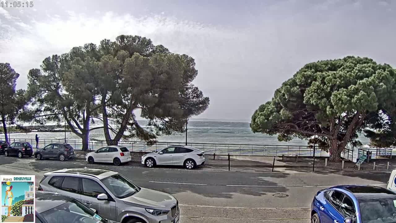 Several cars are parked along a seaside road lined with pine trees under a mostly cloudy sky, with a slightly wavy ocean visible in the background.