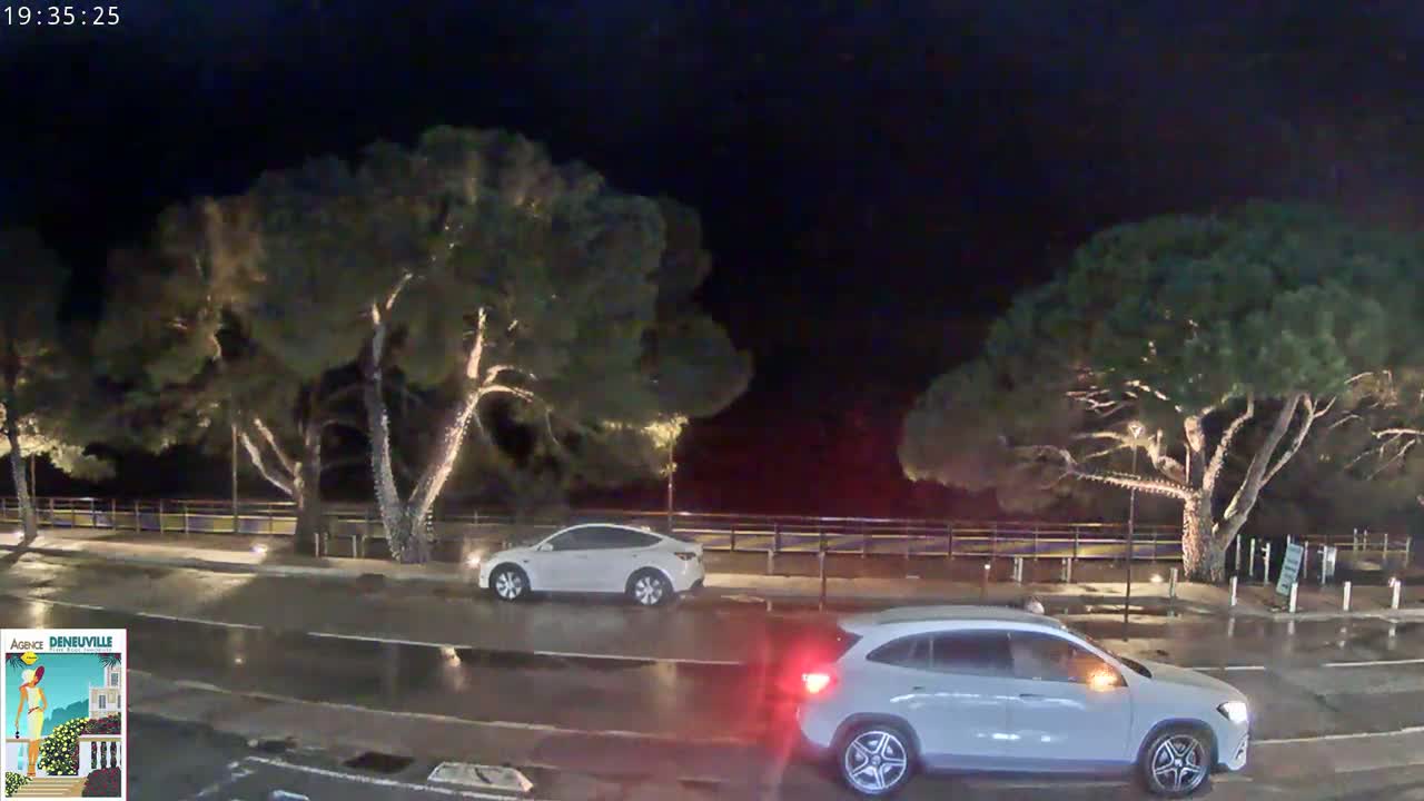Two white cars are parked on a wet road at night, lined with illuminated trees.