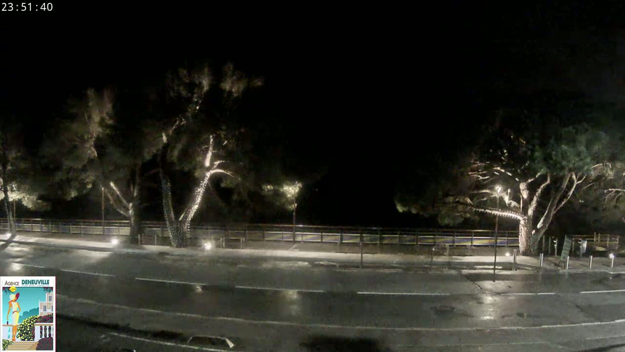 A wet, nighttime street scene shows several illuminated trees lining a roadway with a low fence and railing behind them.