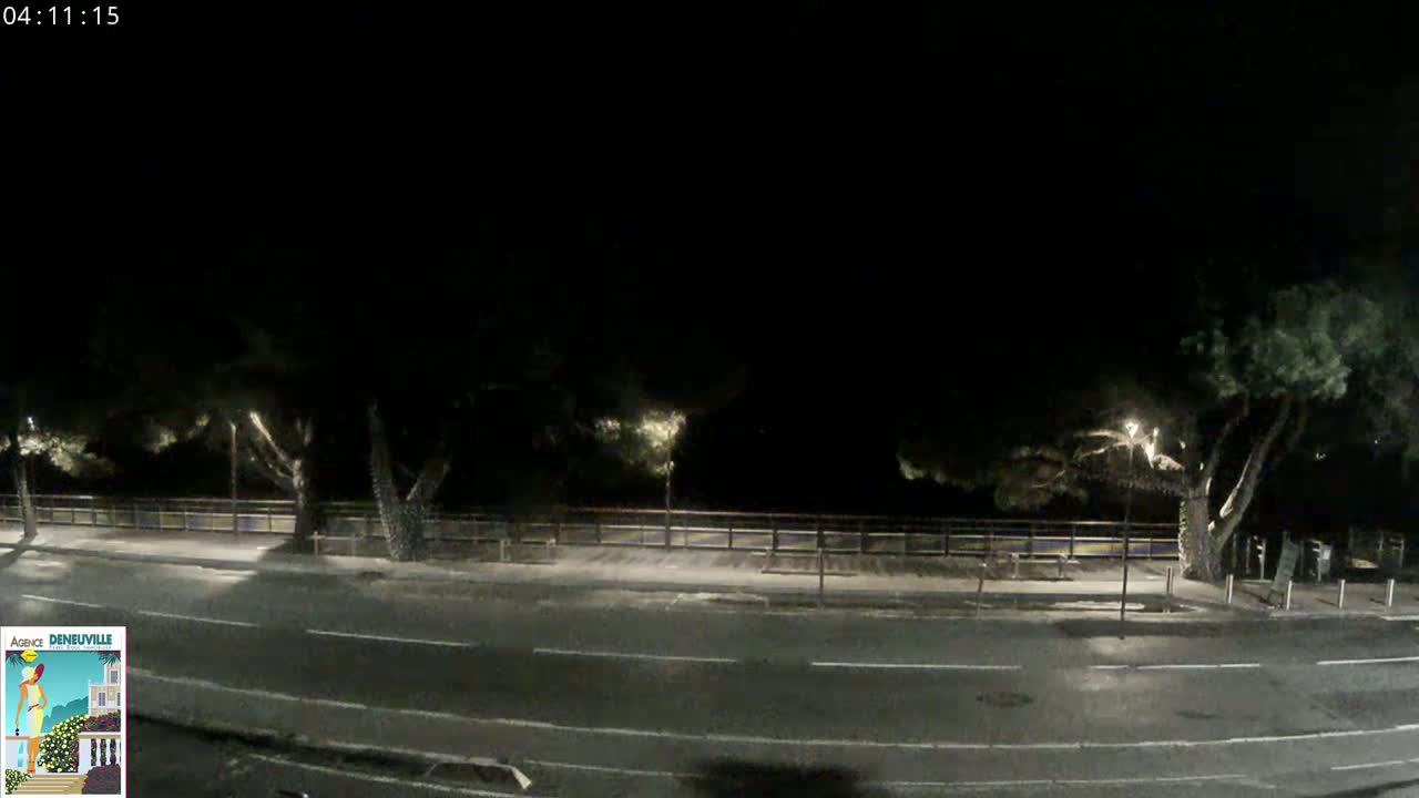 A dark, nighttime street scene shows a road lined with trees and a fence, under a clear, dark sky.