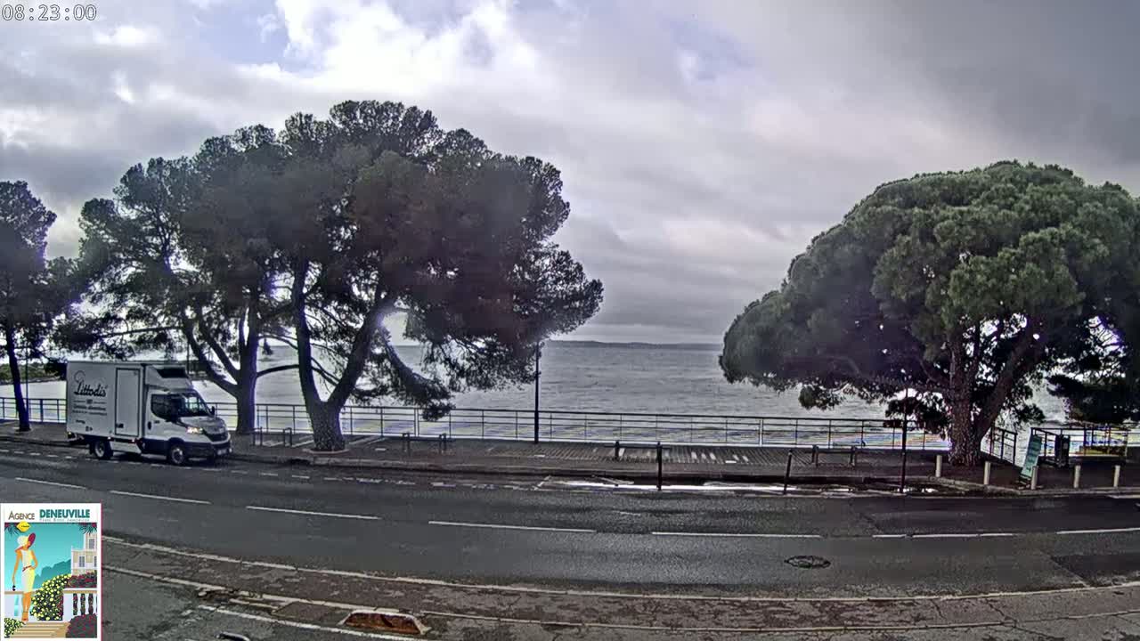 A white delivery truck is parked on a road next to two large pine trees overlooking a calm body of water under an overcast sky.
